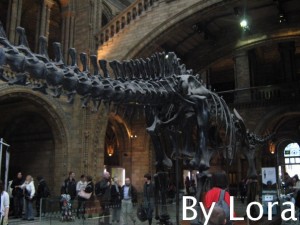 Natural History Museum