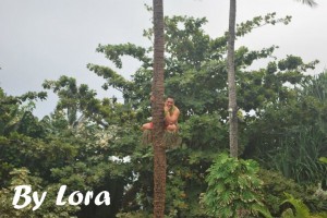 Polynesian Cultural Center